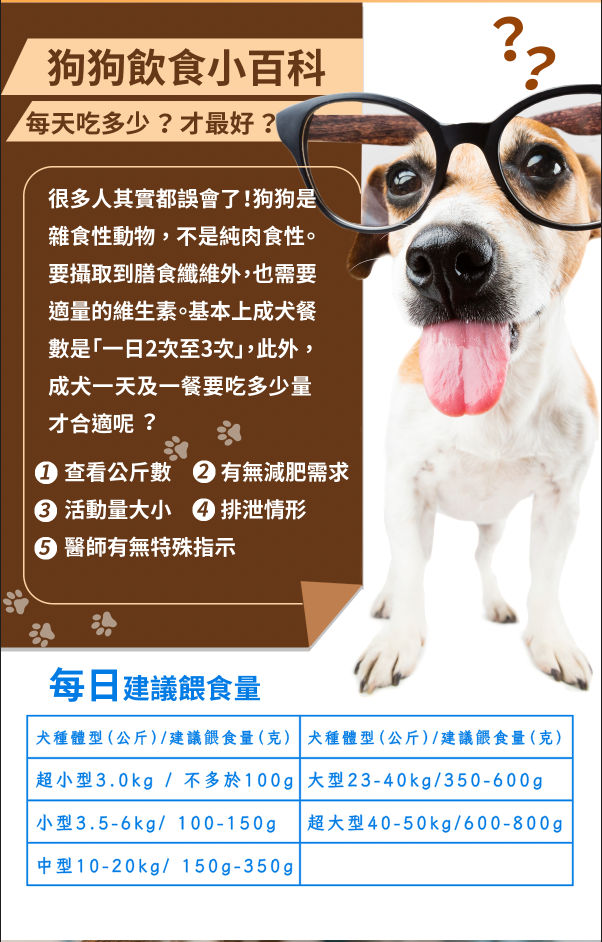 佳冠德成犬飼料型錄設計設計特寫