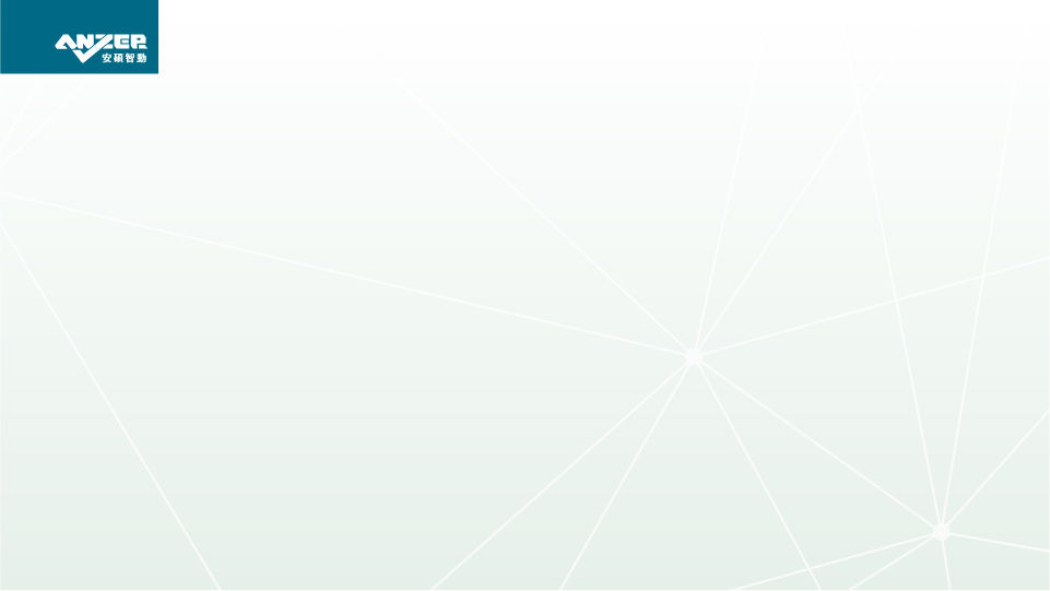 ANZER logo design full series