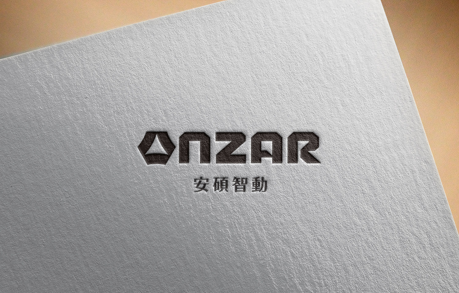 ANZER logo design product photo