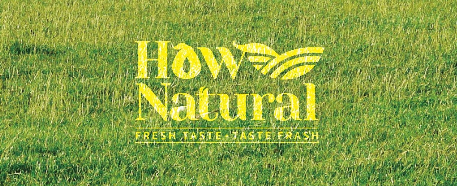 HowNatural So Fresh and Sweet | Brand VI Planning