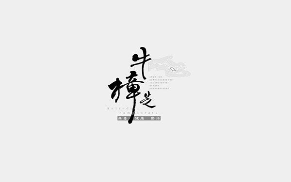 品牌品牌設計產品實拍