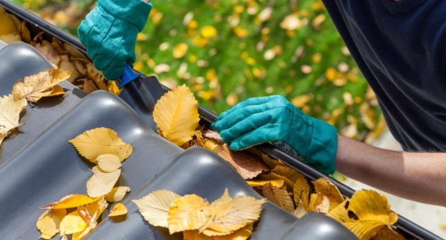 Best Decorative Gutter Installation in Selinsgrove, PA