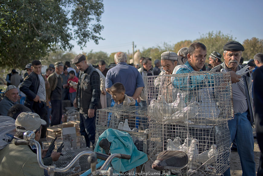 Bukhara 2013