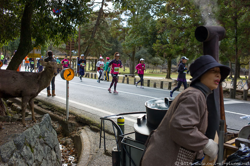 Nara 2013