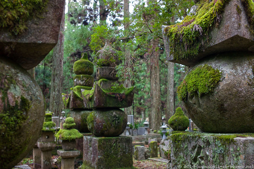 Koyasan 2013