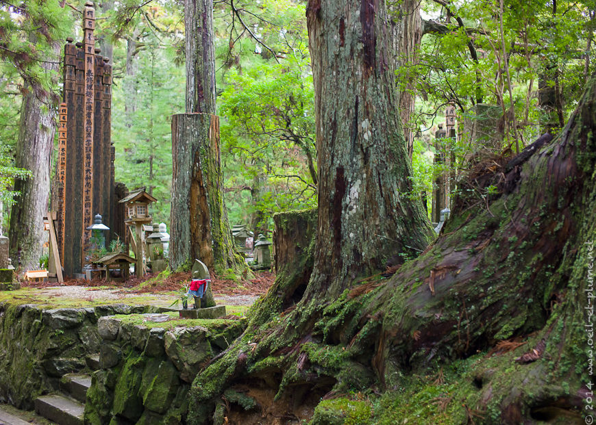 Koyasan 2013