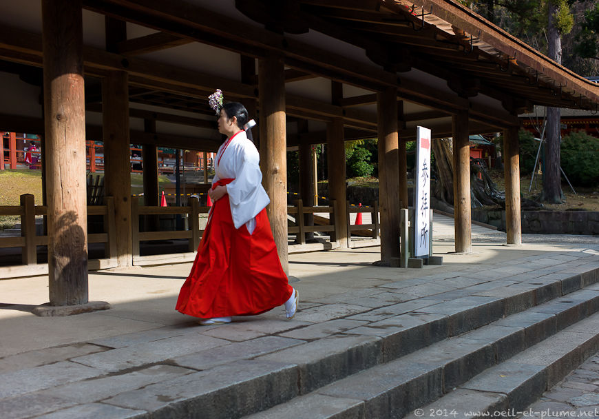 Nara 2013