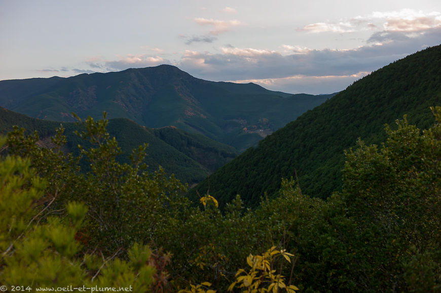 Kumano Kodo 2014