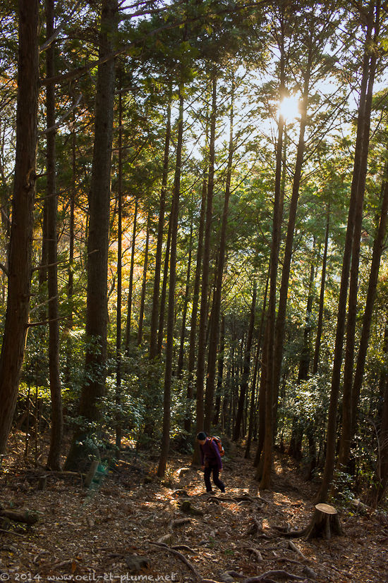 Kumano Kodo 2014