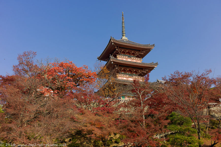 Kyoto 2014