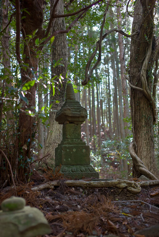 Kumano Kodo 2014