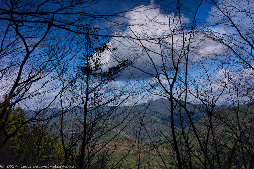 Kumano Kodo 2014