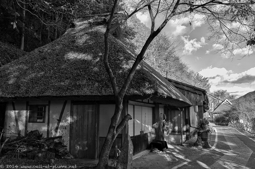 Kumano Kodo 2014