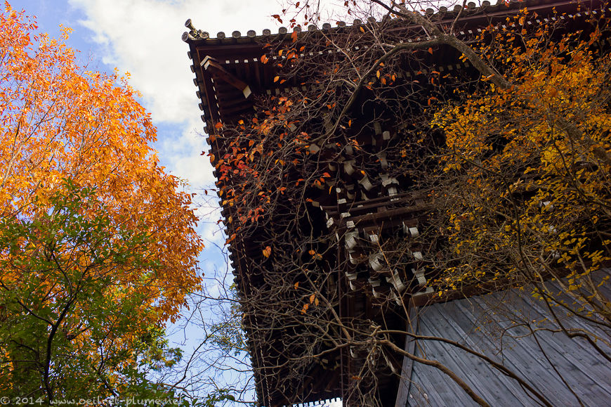 Kyoto 2014