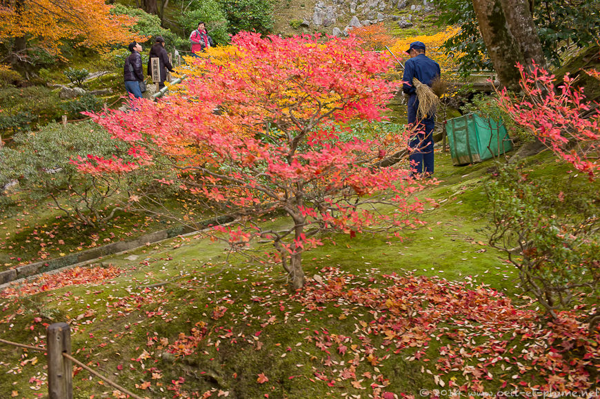 Kyoto 2014