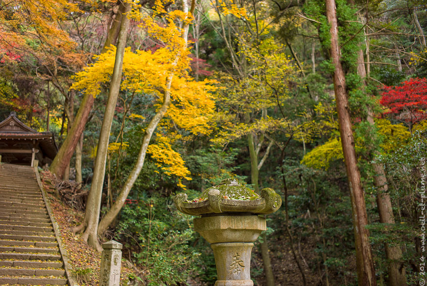 Kyoto 2014