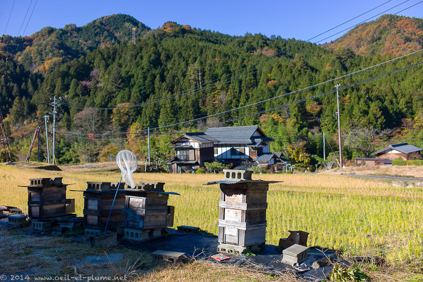 Nakasendo 2014