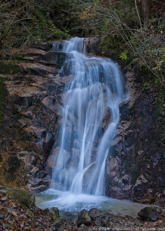 Nakasendo 2014