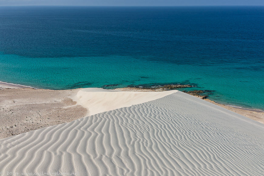 Socotra 2014