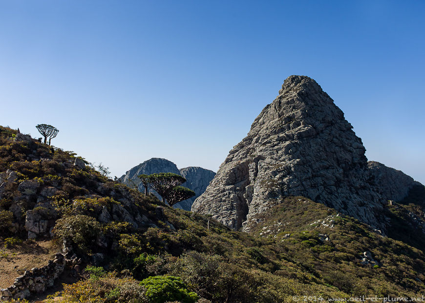 Socotra 2014