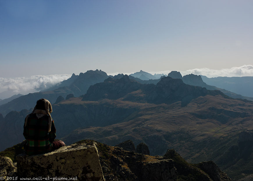 Socotra 2015