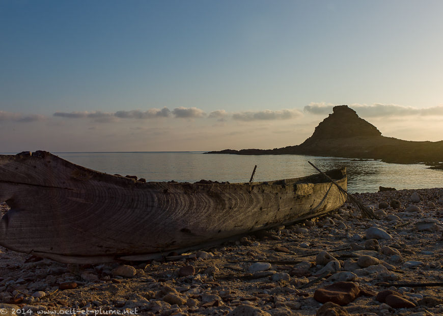 Socotra 2014