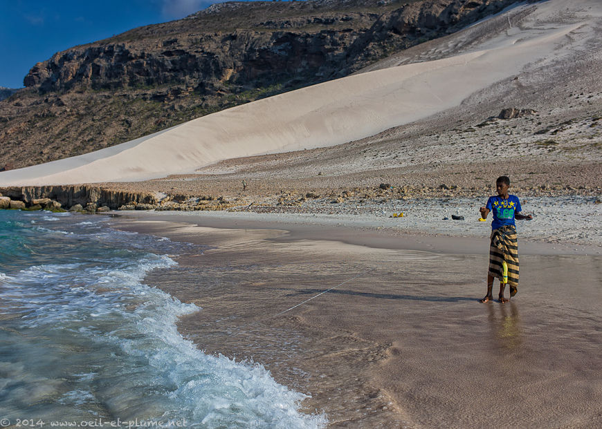 Socotra 2014