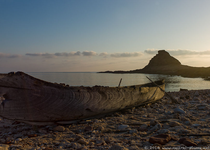 Socotra 2014