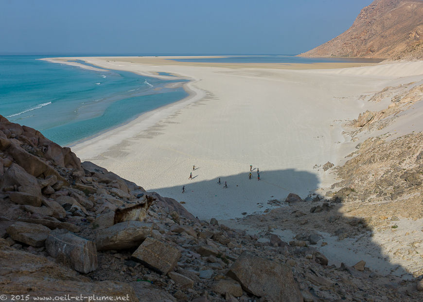 Socotra 2015