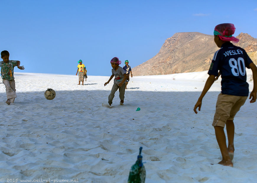 Socotra 2015