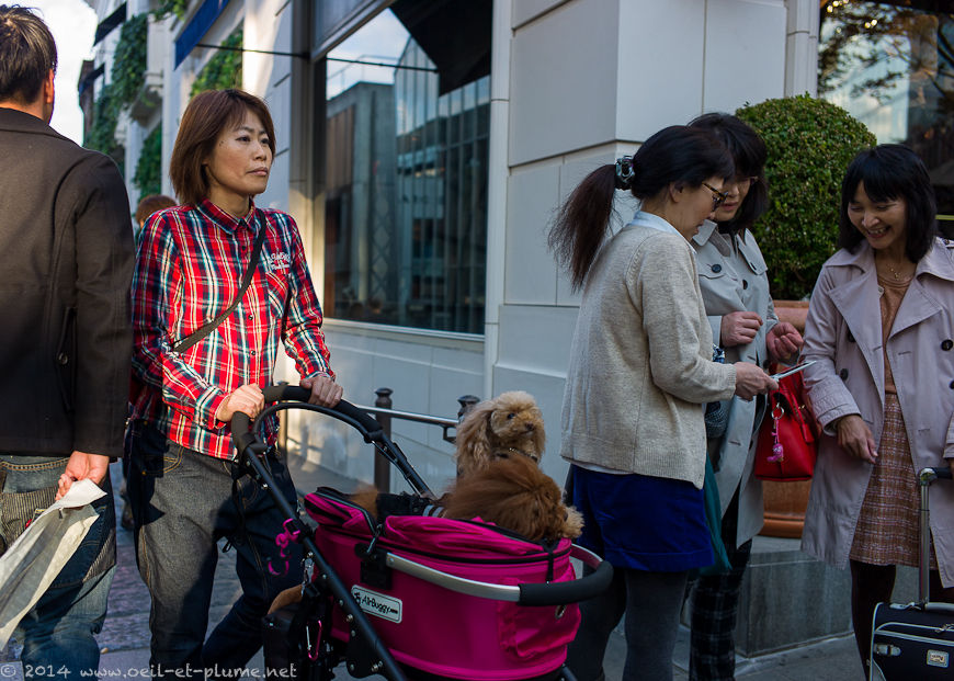 Business Tokyo 2013