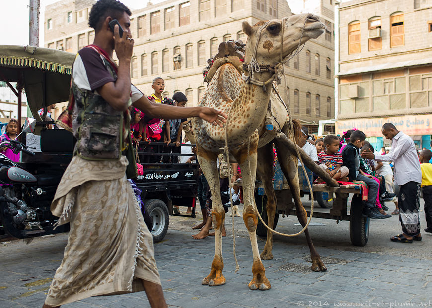 COUPS D'OEIL ET COUPS DE PLUME Yemen Eid in Aden COUPS D'OEIL ET