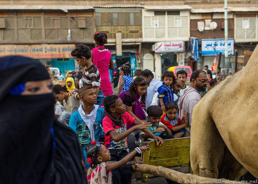 Aden Eid 2014