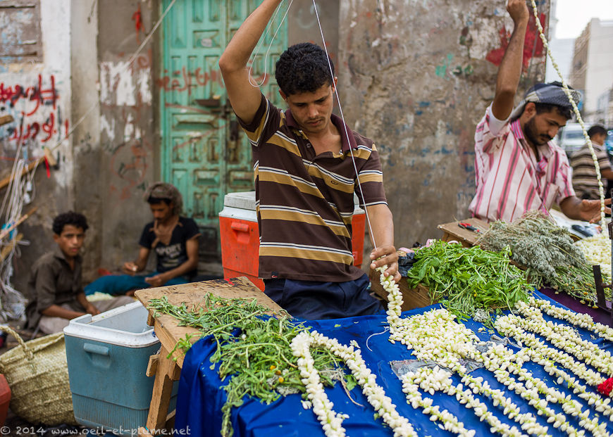 Aden Eid 2014