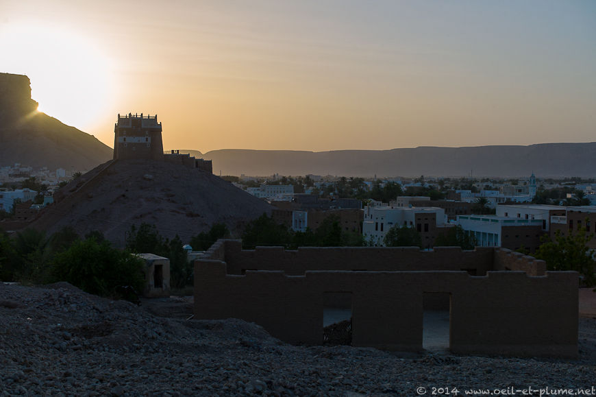 Wadi Hadramout 2014