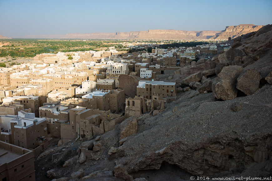 Wadi Hadramout 2014