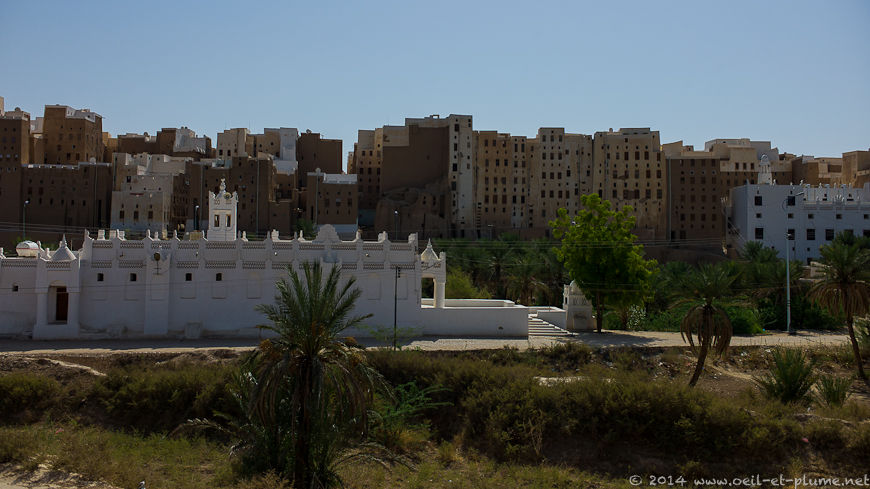 Wadi Hadramout 2014