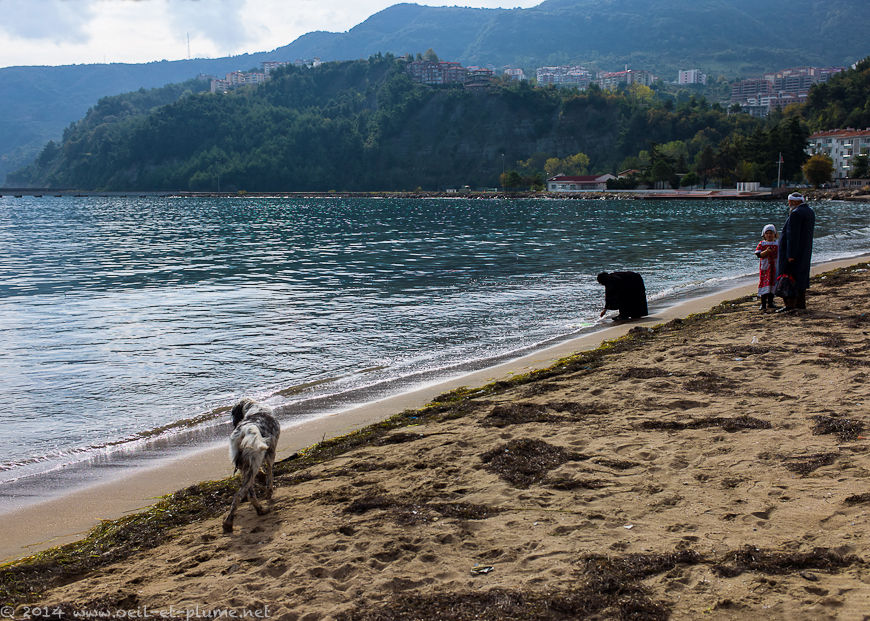 Amasra 2014