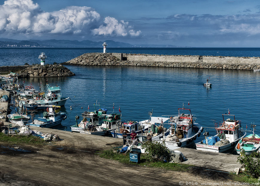 Vona peninsula 2014