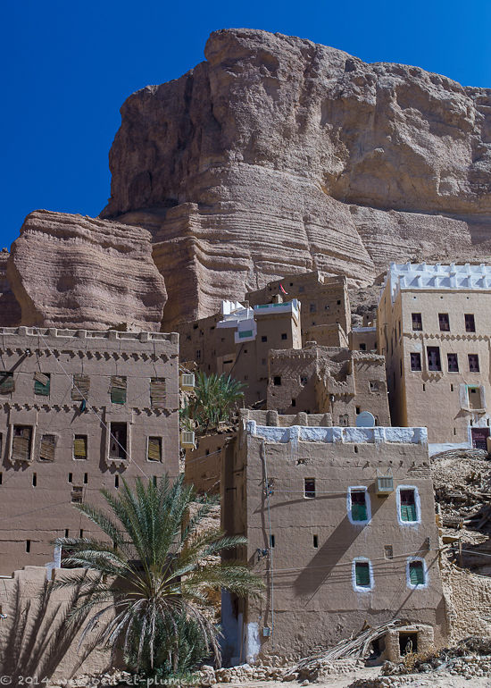 Wadi Doan 2014