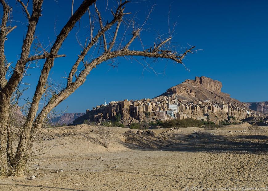 Wadi Doan 2014