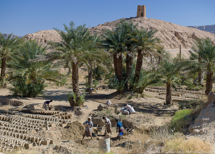 Wadi Doan 2014