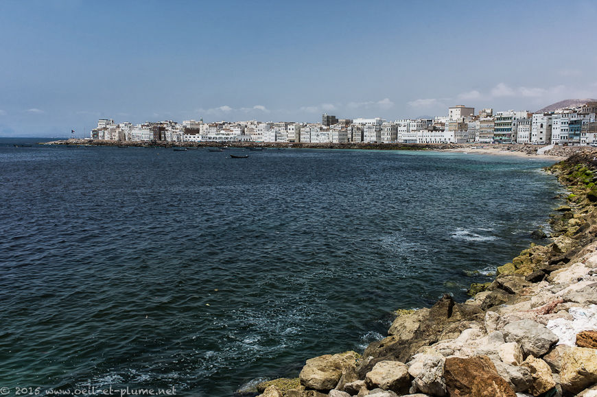 Coastal Hadramout 2015