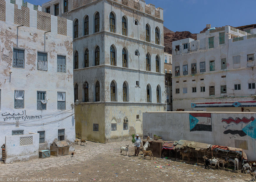 Coastal Hadramout 2015