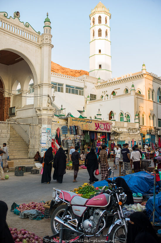 Coastal Hadramout 2015