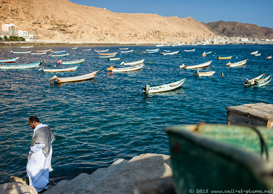 Coastal Hadramout 2015