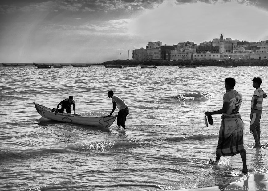 Coastal Hadramout 2015