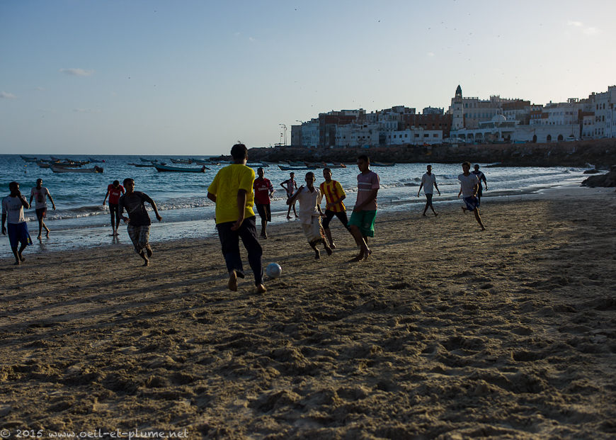 Coastal Hadramout 2015