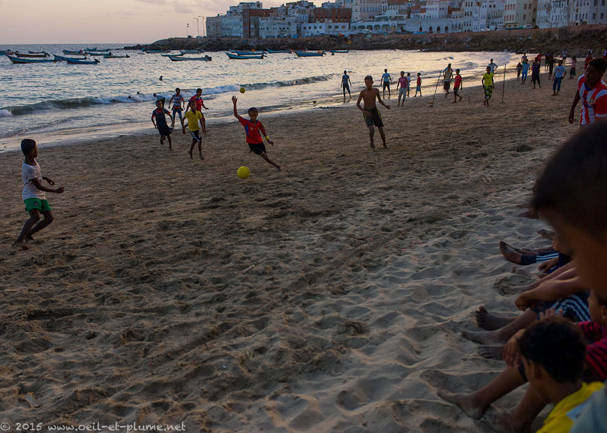 Coastal Hadramout 2015