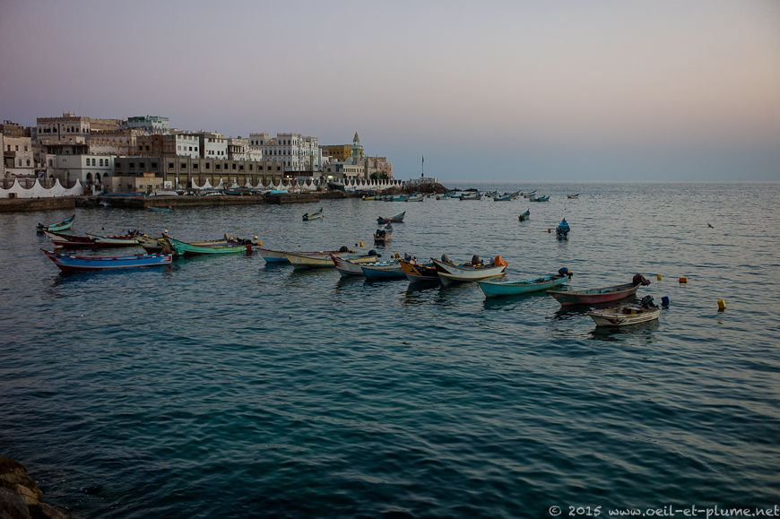 Coastal Hadramout 2015